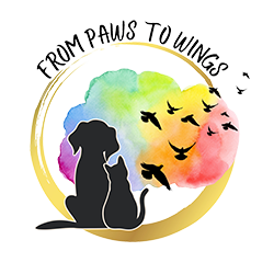 From Paws To Wings