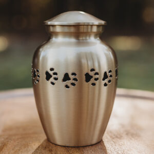 Classic Paw-pewter1