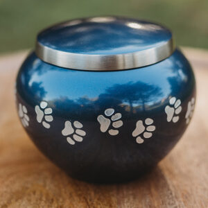 Horizontal Paw-blue